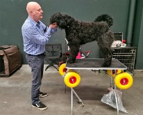 Antwerp_Dog_Show-03