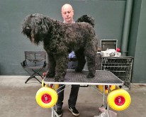 Antwerp_Dog_Show-06