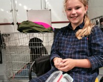 DogShowMaastricht-01