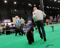 DogShowMaastricht-04