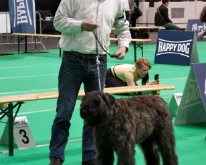 DogShowMaastricht-07