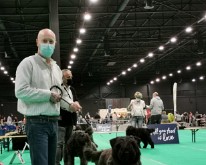 DogShowMaastricht-08