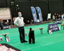 DogShowMaastricht-10
