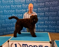 FlandersDogShow-02