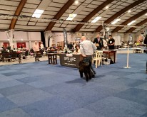 Wieze_Dog_Show-02
