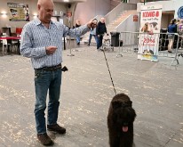Wieze_Dog_Show-03
