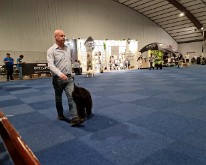 Wieze_Dog_Show-09