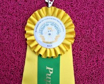 Wieze_Dog_Show-15