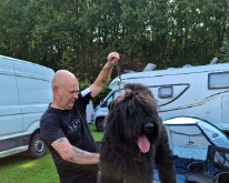 Bouvier-des-Flandres-Specialty-03