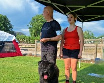 Bouvier-des-Flandres-Specialty-06